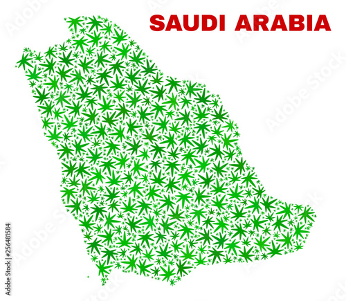 Vector cannabis Saudi Arabia map mosaic. Template with green weed leaves for cannabis legalize campaign. Vector Saudi Arabia map is created from cannabis leaves.