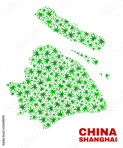 Vector marijuana Shanghai City map mosaic. Concept with green weed leaves for weed legalize campaign. Vector Shanghai City map is created with weed leaves.