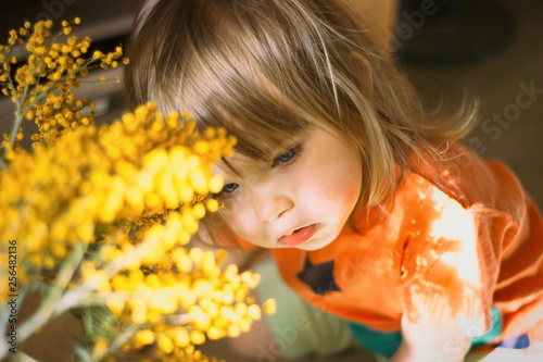 A cute little girl with light brown hair sniffs a bouquet of fragrant yellow mimosa, donated on March 8 on International Women's Day.