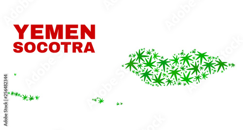 Vector marijuana Socotra Archipelago map mosaic. Concept with green weed leaves for marijuana legalize campaign. Vector Socotra Archipelago map is composed with marijuana leaves.