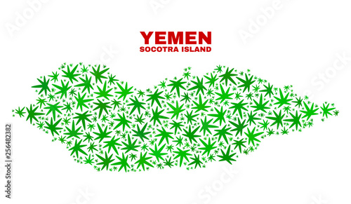 Vector marijuana Socotra Island map collage. Concept with green weed leaves for weed legalize campaign. Vector Socotra Island map is created with marijuana leaves.