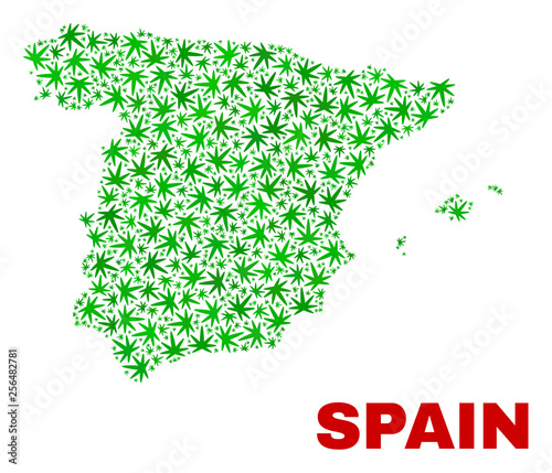 Vector marijuana Spain map collage. Template with green weed leaves for weed legalize campaign. Vector Spain map is composed with weed leaves.