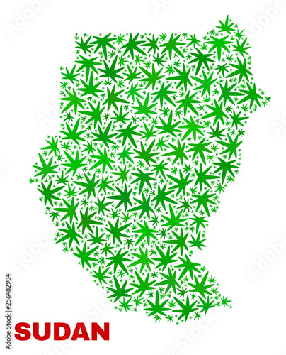 Vector cannabis Sudan map mosaic. Template with green weed leaves for cannabis legalize campaign. Vector Sudan map is composed from cannabis leaves.