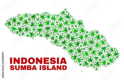 Vector cannabis Sumba Island map mosaic. Template with green weed leaves for cannabis legalize campaign. Vector Sumba Island map is organized with ganja leaves.