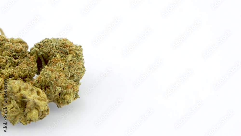 360 Degree Looping Rotation of the Marijuana Strain - Kali Kandy, Half Off Left Frame, in 4K Ultra HD Resolution 3840 x 2160 on White Background 360 Degree Looping Rotation of the Marijuana Strain - Kali Kandy, Half Off Left Frame, in 4K Ultra HD Resolution 3840 x 2160 on White Background