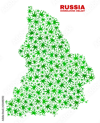 Vector marijuana Sverdlovsk Region map mosaic. Concept with green weed leaves for marijuana legalize campaign. Vector Sverdlovsk Region map is composed with weed leaves.