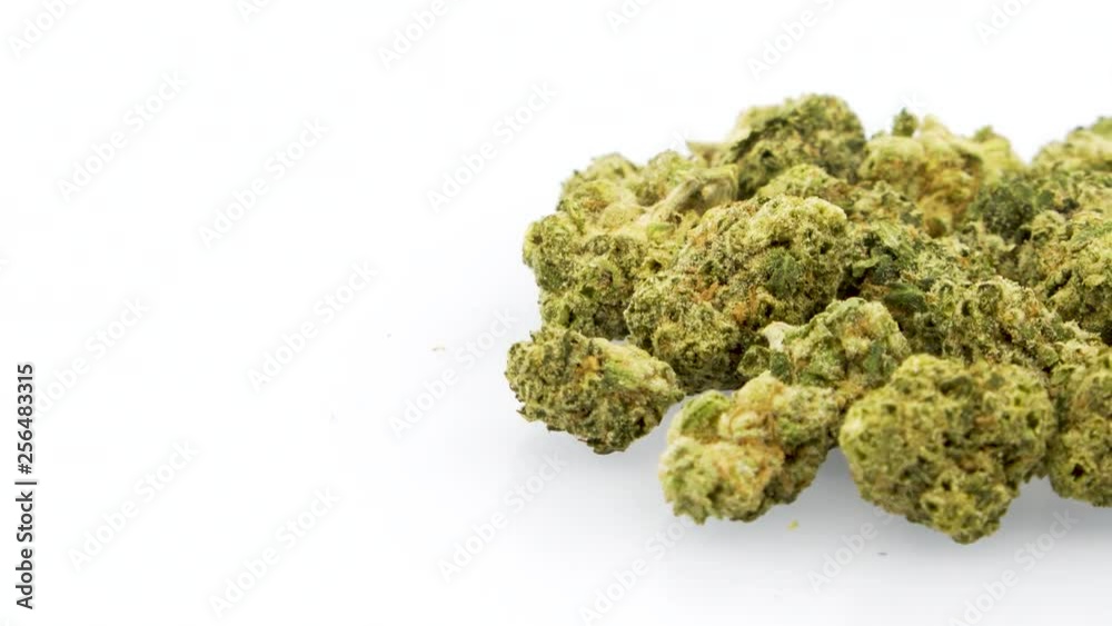 360 Degree Looping Rotation of the Marijuana Strain - Grape Daze, Half Off Right Frame, in 4K Ultra HD Resolution 3840 x 2160 on White Background 360 Degree Looping Rotation of the Marijuana Strain - Grape Daze, Half Off Right Frame, in 4K Ultra HD Resolution 3840 x 2160 on White Background