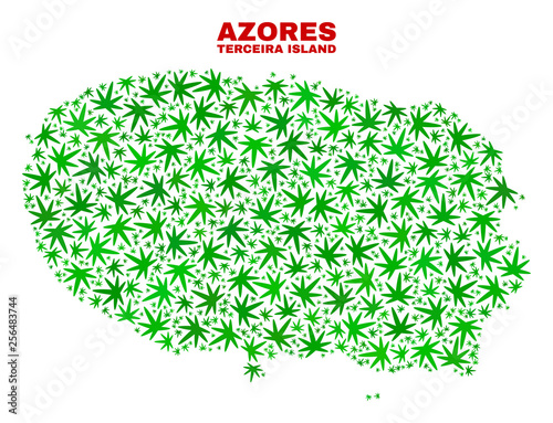 Vector cannabis Terceira Island map collage. Concept with green weed leaves for cannabis legalize campaign. Vector Terceira Island map is constructed with cannabis leaves.