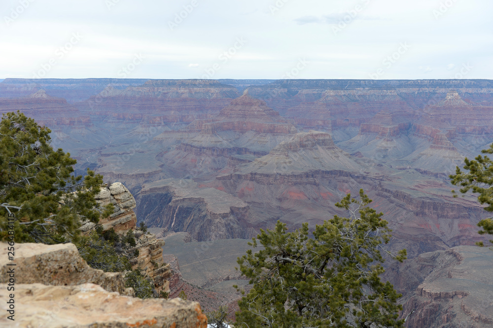 Grand Canyon National Park view
