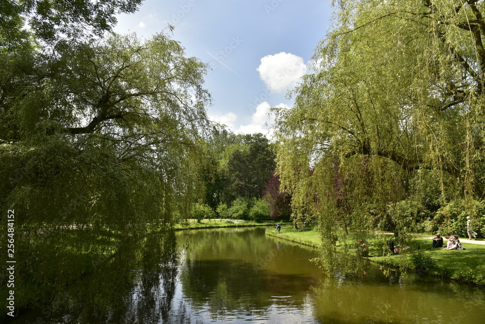 Les arbres à feuillage pendant jusque dans l'eau du chenal principal au domaine provincial de Vrijbroekpark à Malines Les arbres à feuillage pendant jusque dans l'eau du chenal principal au domaine provincial de Vrijbroekpark à Malines