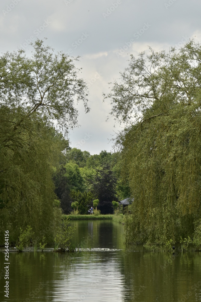 Passage étroit entre deux arbres au feuillage pendant jusque dans l'eau entre le chenal et l'étang principal du domaine provinciale de Vrijbroekpark à Malines Passage étroit entre deux arbres au feuillage pendant jusque dans l'eau entre le chenal et l'étang principal du domaine provinciale de Vrijbroekpark à Malines