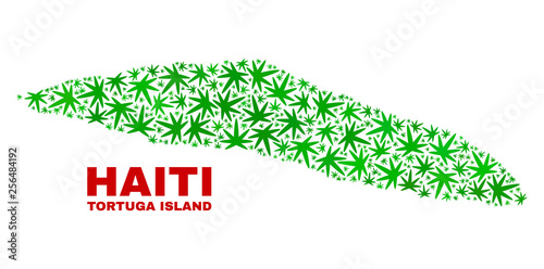 Vector cannabis Tortuga Island of Haiti map mosaic. Concept with green weed leaves for cannabis legalize campaign. Vector Tortuga Island of Haiti map is composed with marijuana leaves.