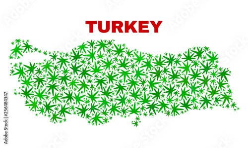 Vector marijuana Turkey map collage. Concept with green weed leaves for weed legalize campaign. Vector Turkey map is formed with weed leaves.
