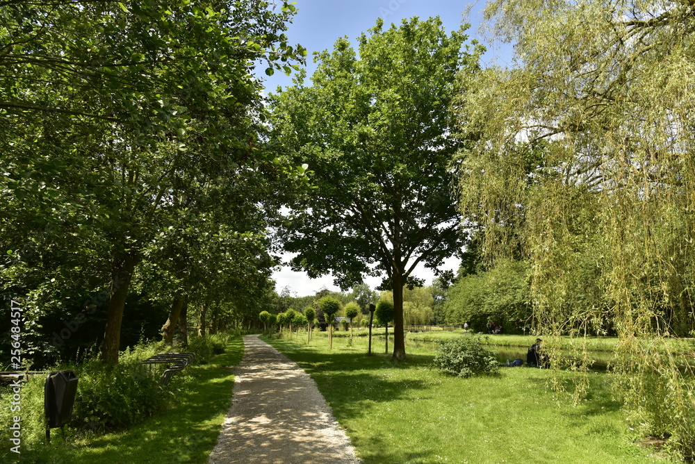 Chemin longeant un bois et une pelouse au domaine provincial de Vrijbroekpark à Malines