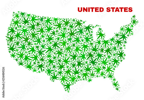 Vector cannabis United States map collage. Template with green weed leaves for cannabis legalize campaign. Vector United States map is constructed with cannabis leaves.