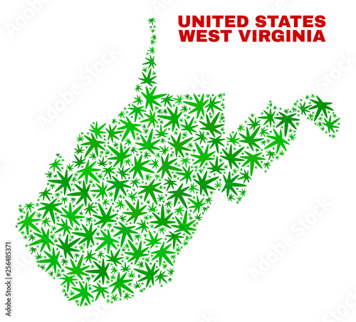 Vector cannabis West Virginia State map mosaic. Concept with green weed leaves for weed legalize campaign. Vector West Virginia State map is organized with cannabis leaves.