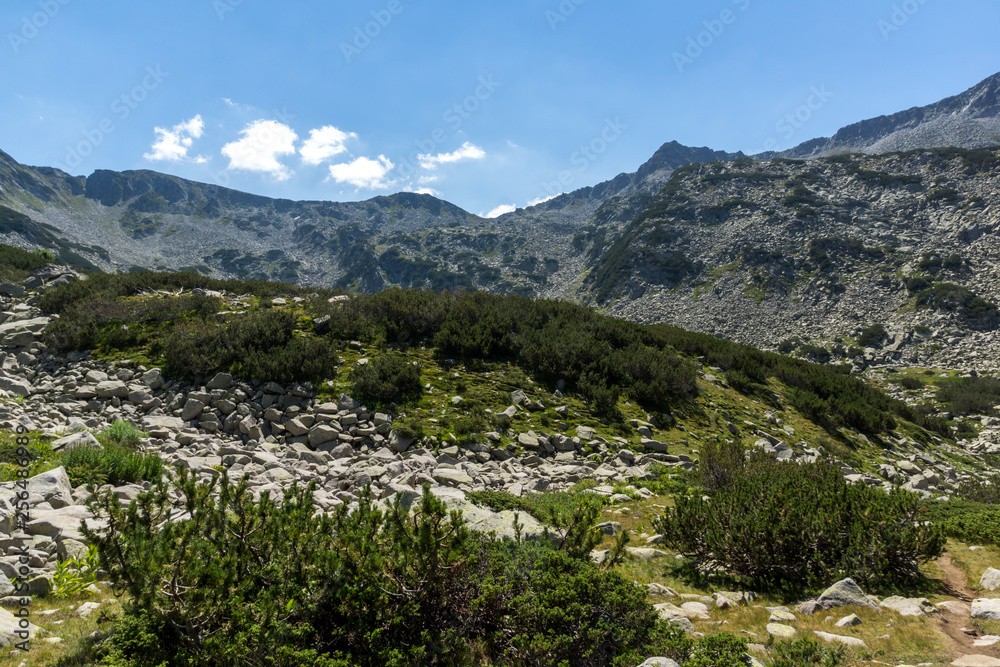 Fototapeta premium Summer landscape of Muratov peak and mountain river, Bulgaria