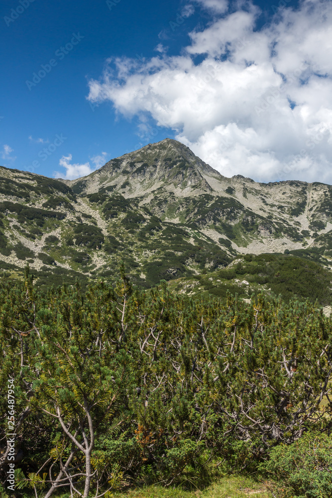 Amazing Summer landscape of Muratov Peak, Pirin Mountain, Bulgaria