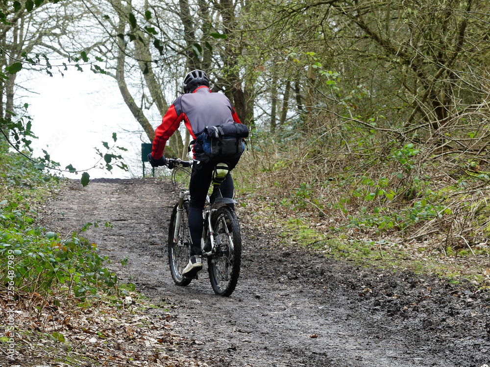 Mountain bike rider on woodland path