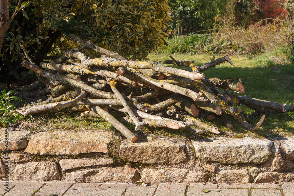 Heap of branch in a garden after trimming a tree Heap of branch in a garden after trimming a tree