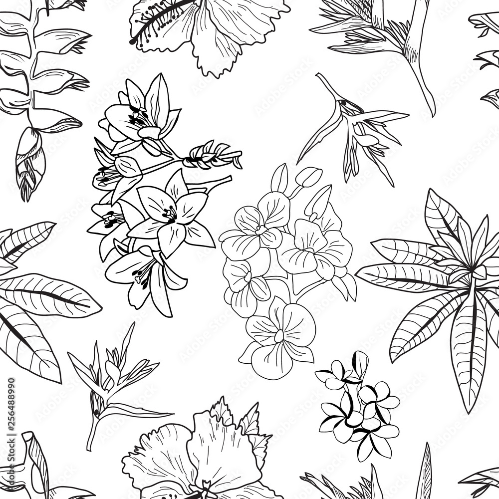 Fototapeta premium Vector pattern of hand drawn exotic tropical flowers, leaves, jungle plants.