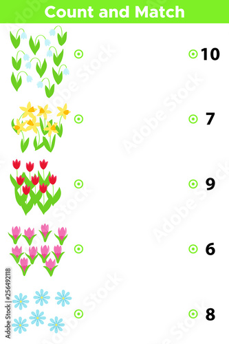 Counting educational game for preschool kids. Vector spring flower: snowdrops, tulips, narcissus, crocus and daisy. Count and match - worksheet for children.