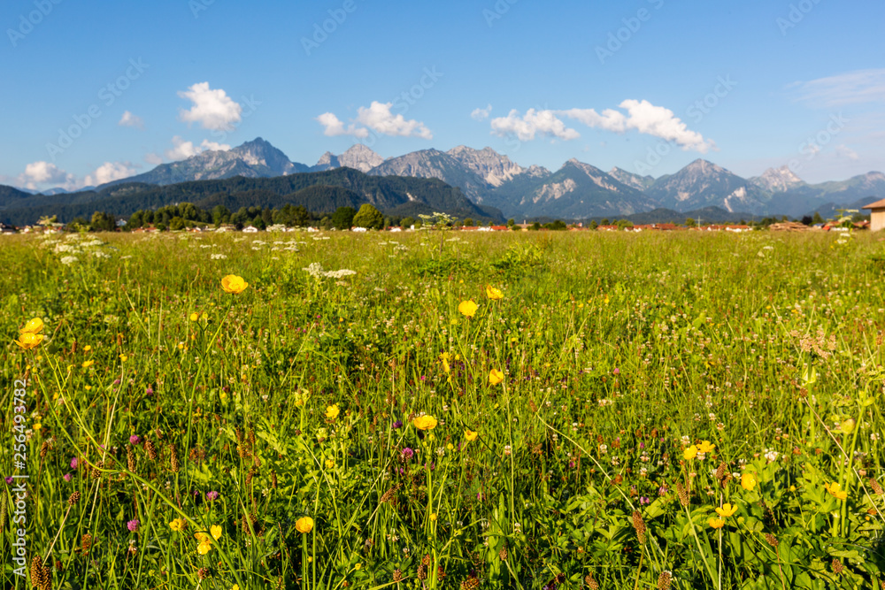 Landscape with the meadow on foreground and mountains on background in Germany