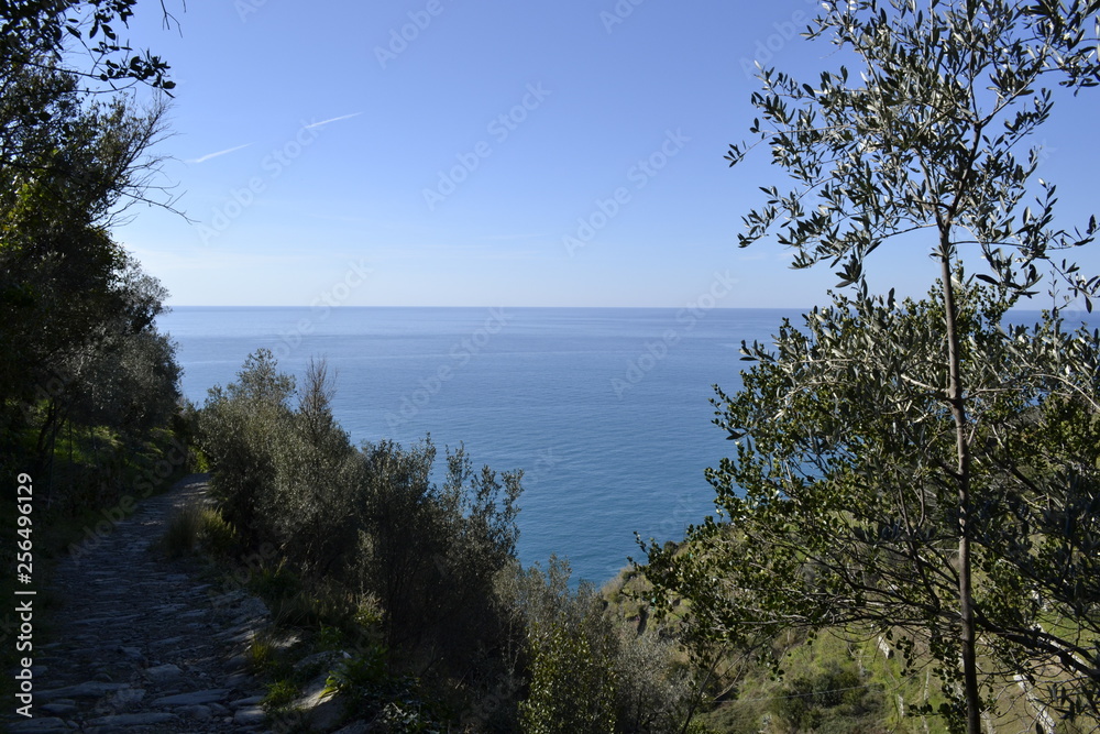 Panorama sulle Cinque Terre, Liguria Panorama sulle Cinque Terre, Liguria