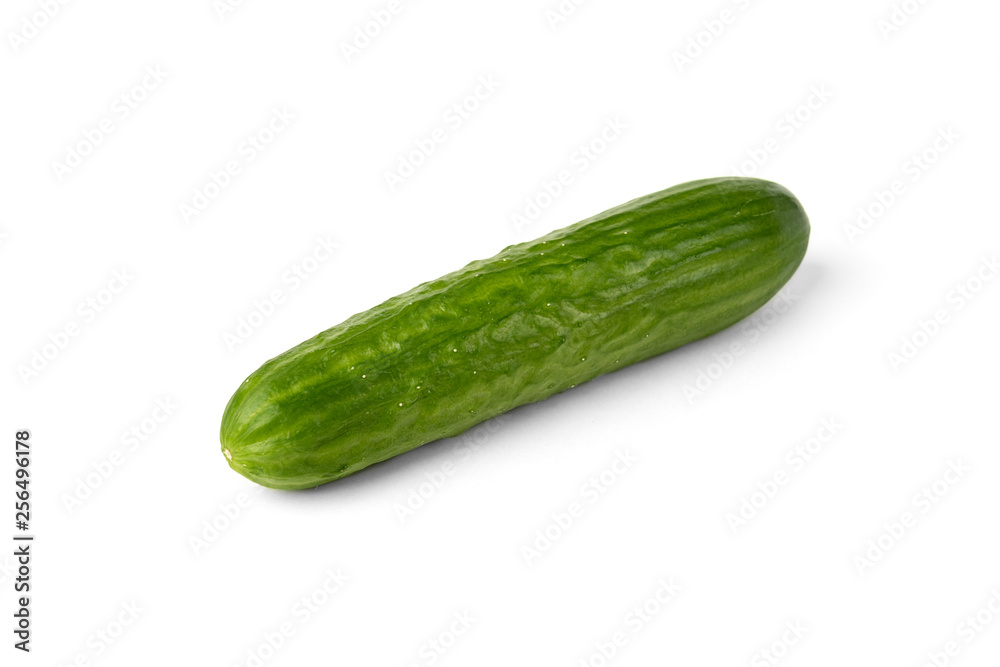 Cucumber isolated on white background. Cucumber isolated on white background.