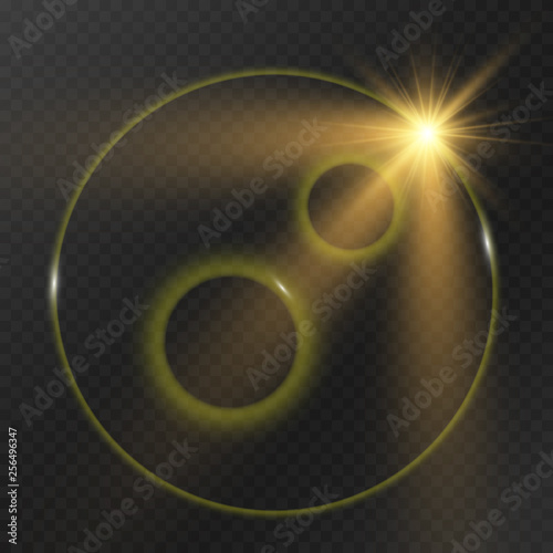 light flare special effect.vector illustration 