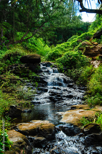 Beautiful Tropical photos lush waterfall