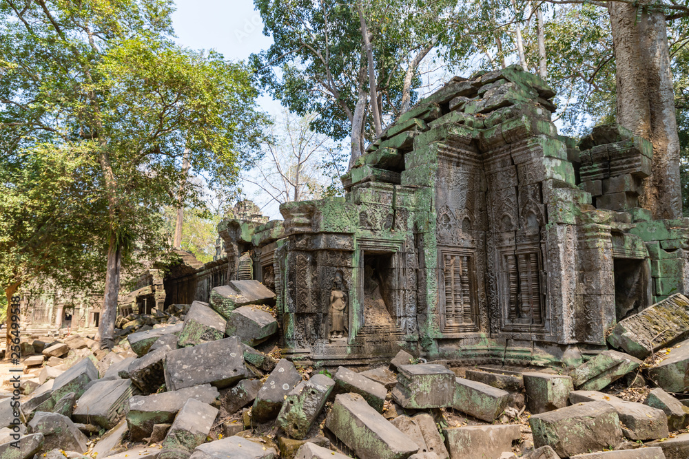 Ta Prohm temple area near Angkor Wat in Cambodia