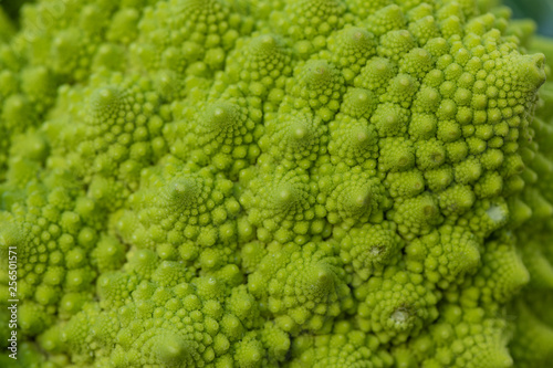 The Self Similar Form of the Romanesco Broccoli Vegetable