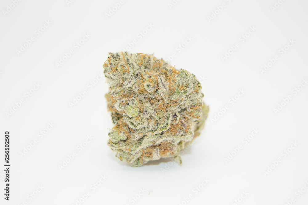 Tropicana Cookies 3 Tropicana Cookies 3