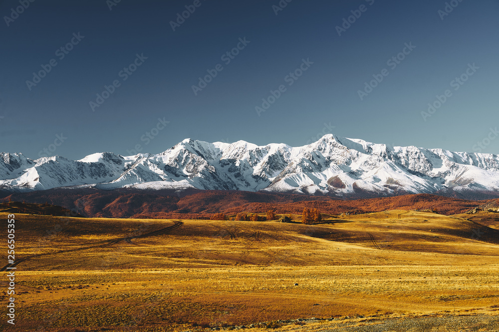 Great landscape of Altay mountains and Kurai steppe