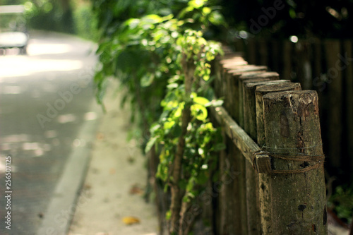 old wooden fence in the garden
