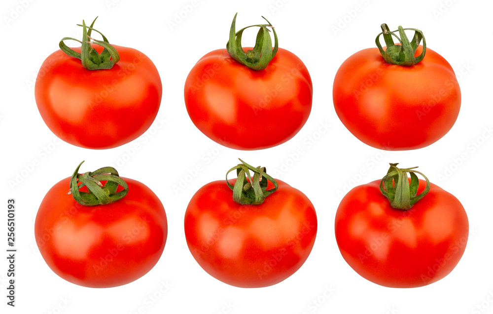 tomatoes