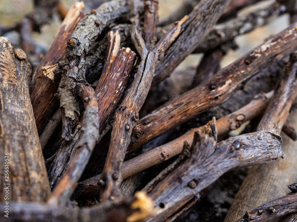 wallpaper of pieces of sticks on the ground wallpaper of pieces of sticks on the ground