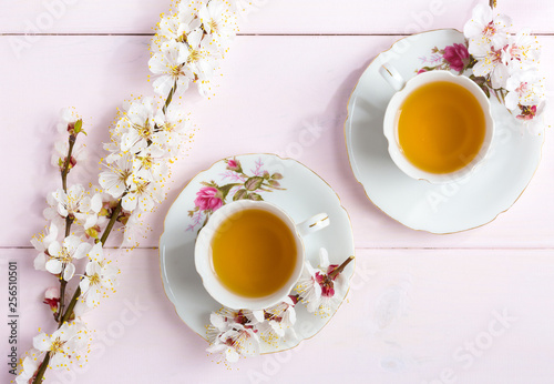 Two cups of tea and spring flowers (blooms of an Apricot) on a light pink wooden table.