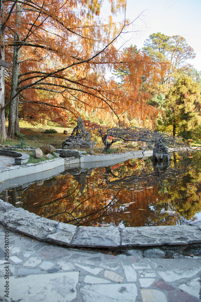 Japanese garden in the fall in the Sochi Arboretum.