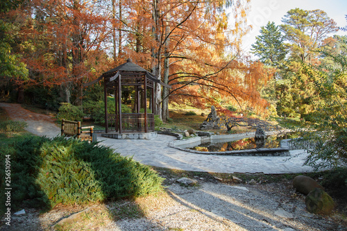 Japanese garden in the fall in the Sochi Arboretum.