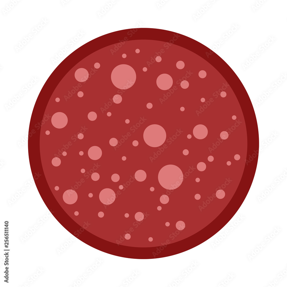 Round slice of sausage salami vector flat isolated Round slice of sausage salami vector flat isolated