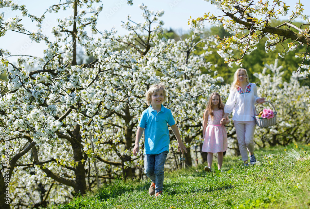 Happy family walking in beautiful blooming cherry garden  on a sunny spring day.