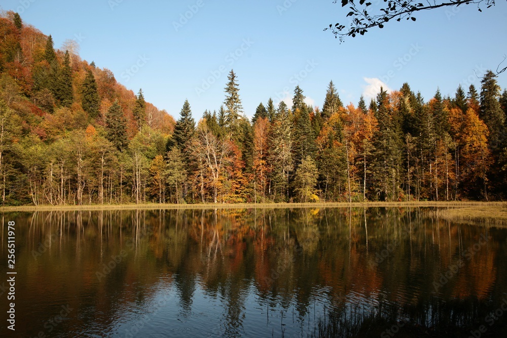 Landscape in the forest with a lake.savsat/artvin/turkey