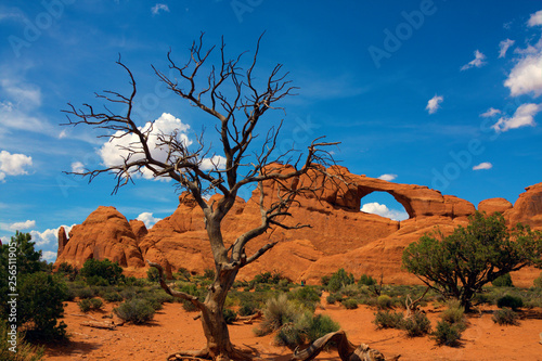 Arches National Park