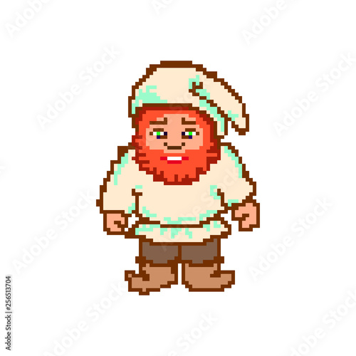 pixel male funny cartoon gnome