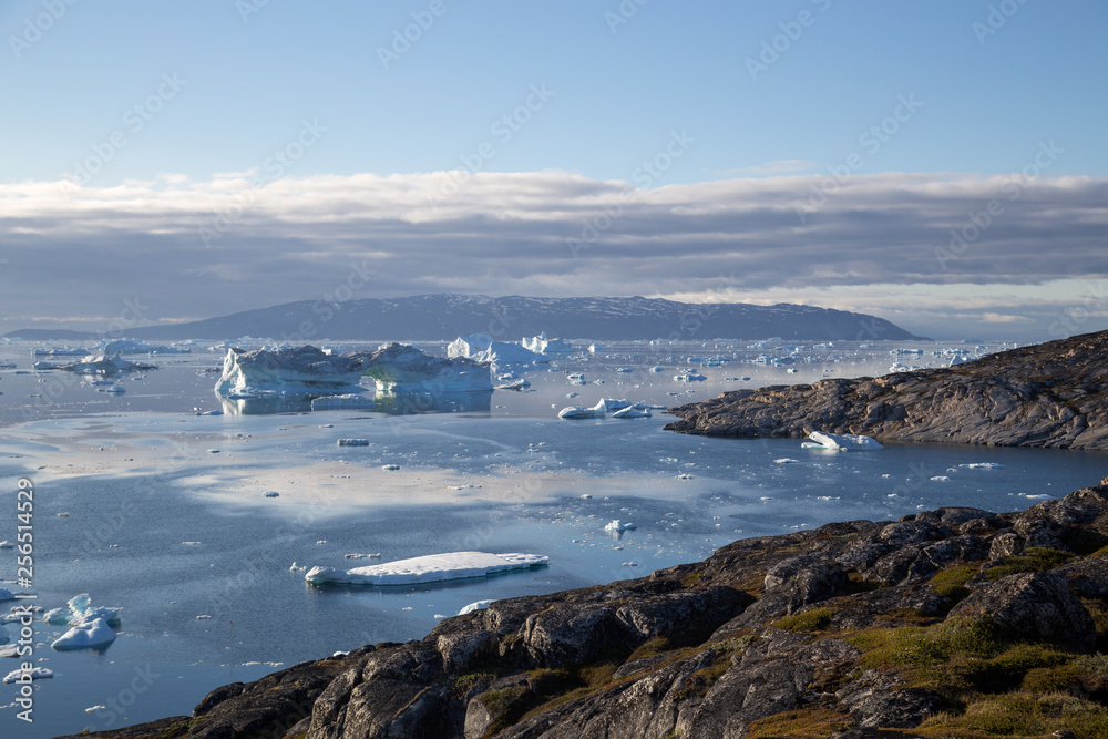 Coastline and Icebergs in Rodebay, Greenland