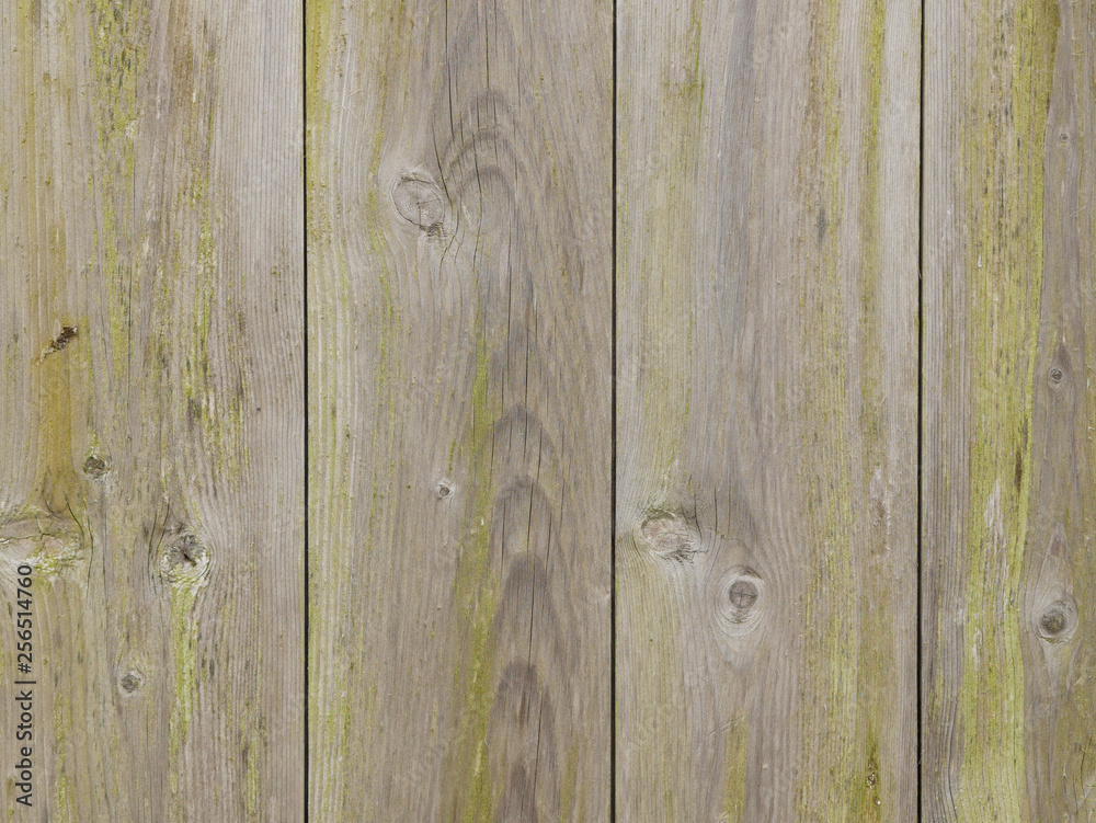 Fototapeta premium Wooden planks for background