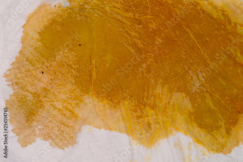 pet pad of a dog with modified color of urine because of bilirubin pigment.Hepatic disease photo