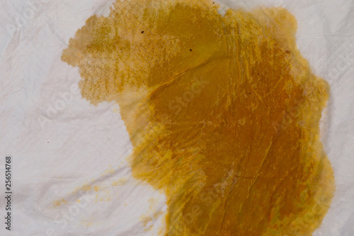 pet pad of a dog with modified color of urine because of bilirubin pigment.Hepatic disease photo